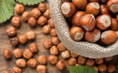 Comprar avellanas online: guía para elegir calidad y sabor auténtico