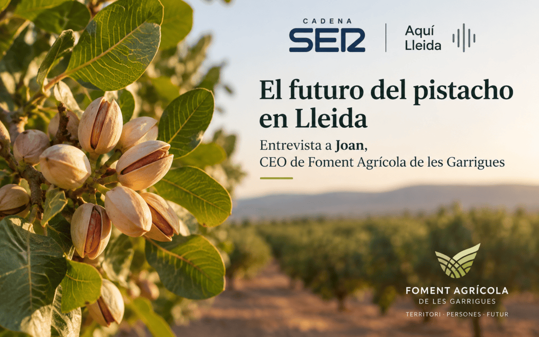 El futuro del pistacho en Lleida: entrevista a Joan, CEO de Foment Agrícola de les Garrigues