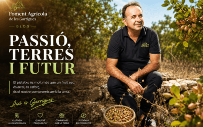 El pistatxo es fa un lloc al rebost català